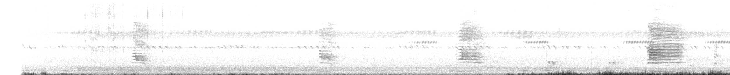 Australasian Swamphen - ML640454302