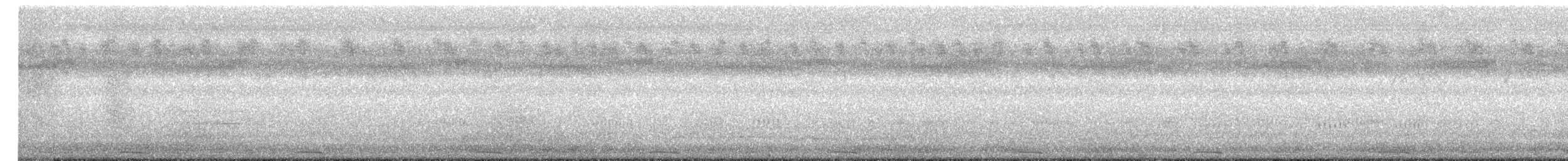 Greater Painted-Snipe - ML640460453