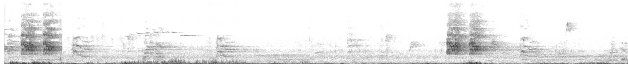 Dumanlı Kurravong (arguta) - ML640461412