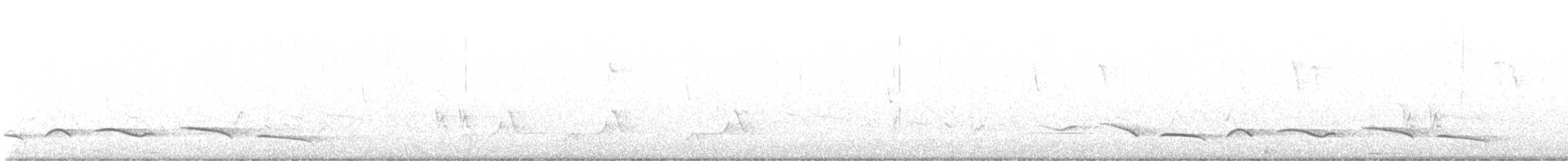 Black-crowned Tchagra - ML640462118