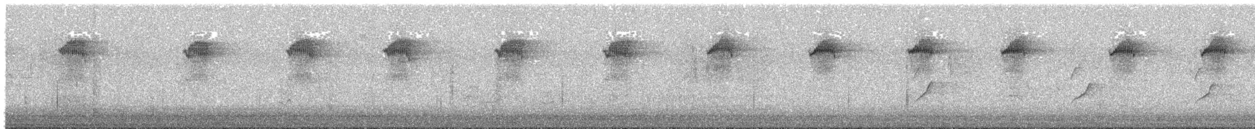 Эгэл хөхөө - ML640463640