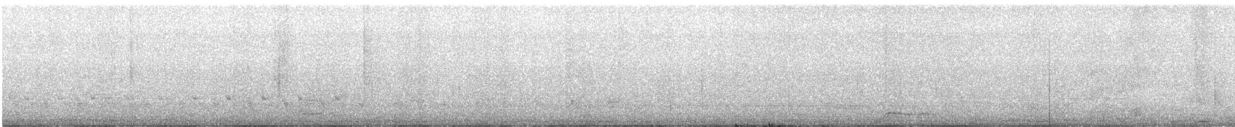 Zebra Dove - ML640464032
