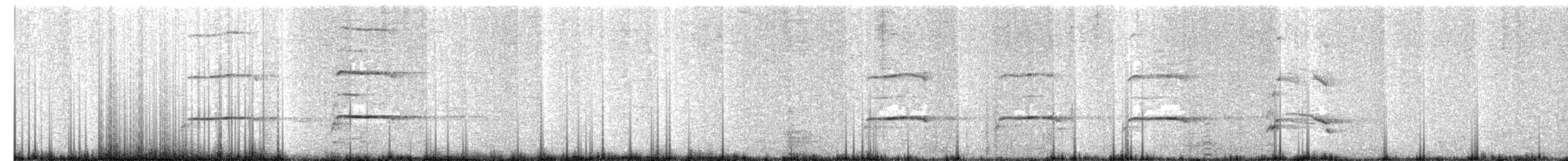 ニシオオノスリ（cirtensis） - ML640466138