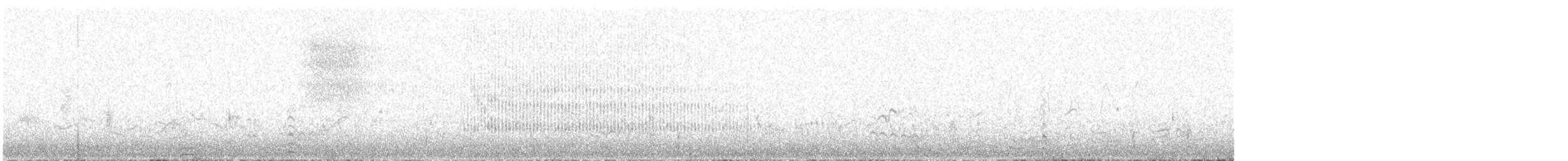 Érismature maccoa - ML640466943