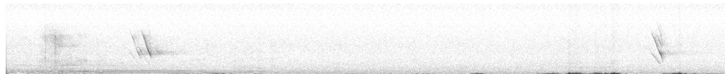 Chocard à bec jaune - ML640471551