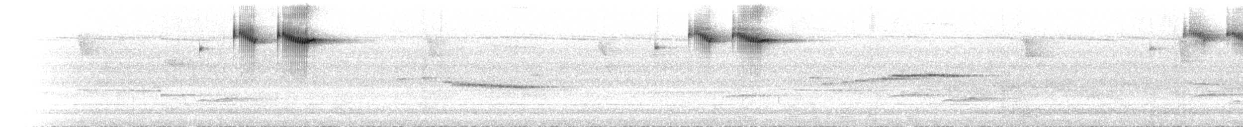 Sulawesischwirl - ML640472087