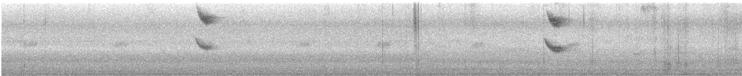 modravec siný - ML640473059