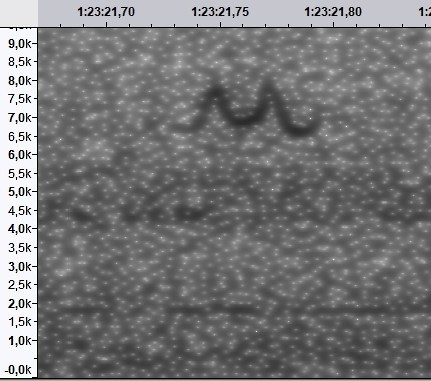 Bay-breasted Warbler - ML640473272