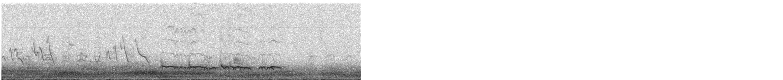 Kaatinga Pufkuşu (maculatus) - ML640474674