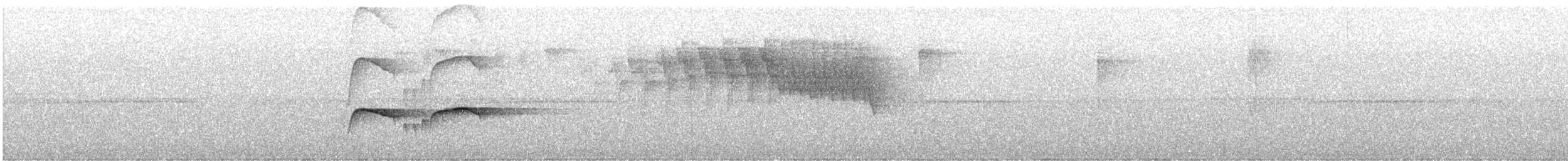 Southern Antpipit - ML640476860