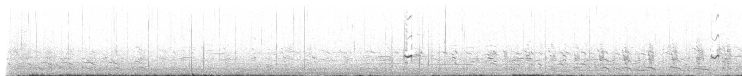 Amerika Altın Yağmurcunu - ML640476998