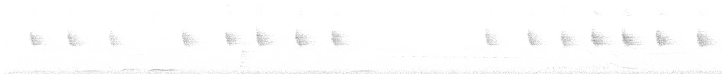 Brown Violetear - ML640477215