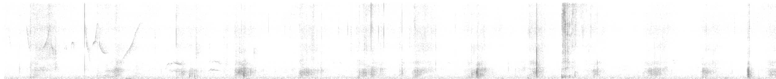 コバシマユシトド - ML640482562