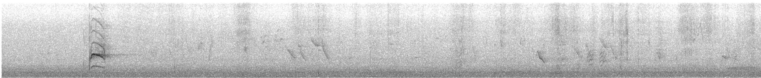 Whyte's Barbet - ML640483373