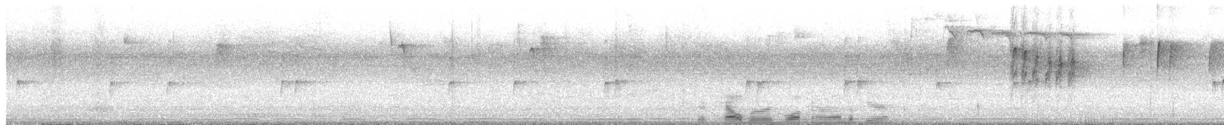 Carolina Chickadee - ML640484563