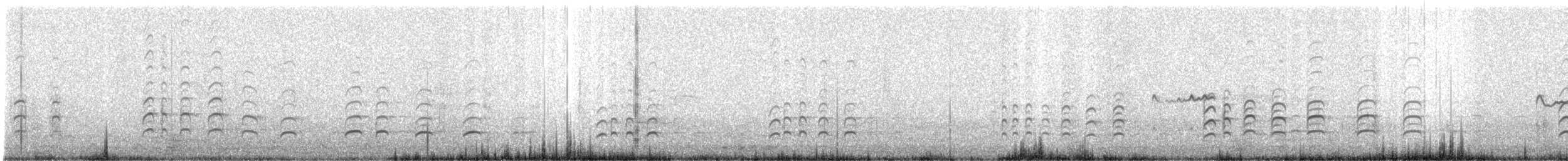 Oedicnème du Pérou - ML640488864