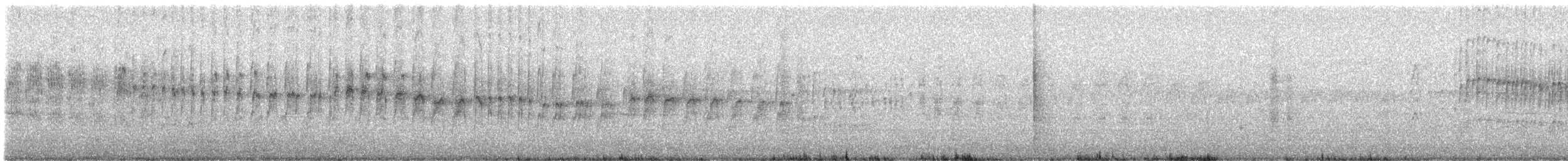 White-throated Swift - ML640488936