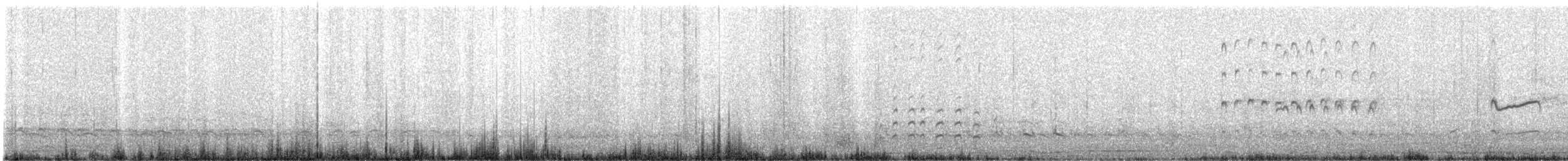 Oedicnème du Pérou - ML640488958