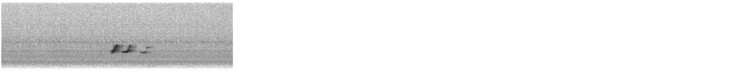 Spotted Sandpiper - ML640488965