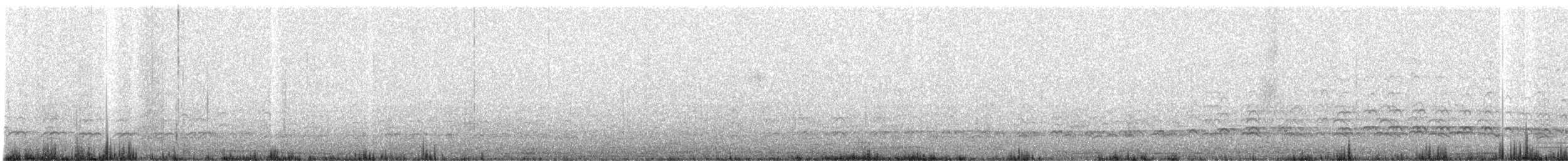 Oedicnème du Pérou - ML640489113