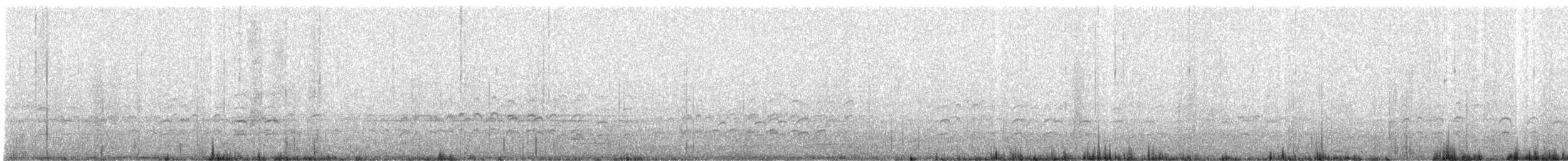 Oedicnème du Pérou - ML640489298