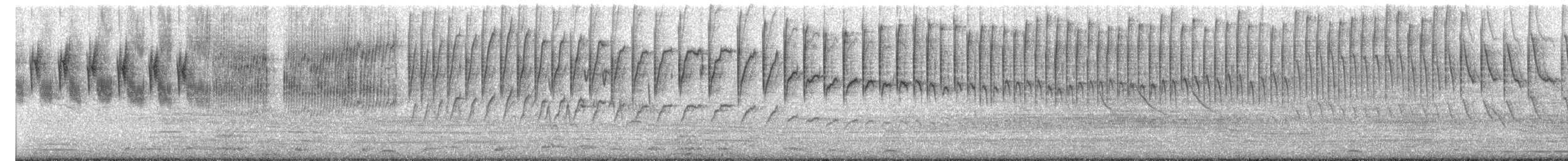 Sicale des savanes - ML640489464