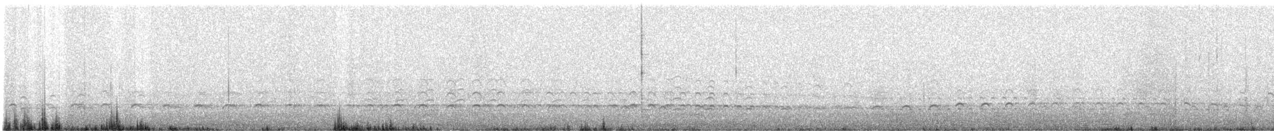 Oedicnème du Pérou - ML640489642