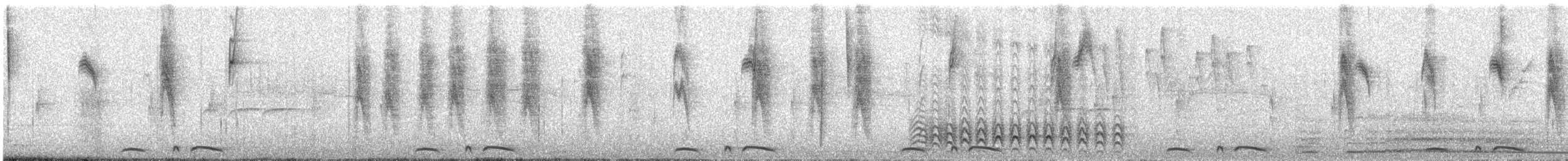 Scaled Dove - ML640490668