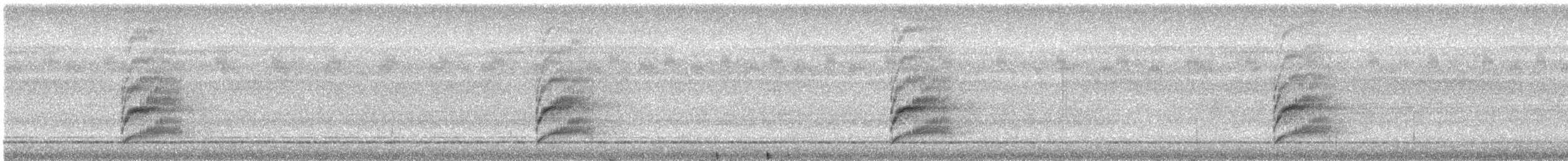 Tyran licteur - ML640491479