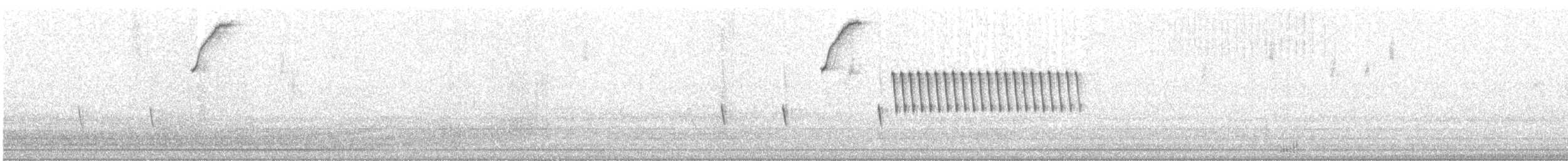 フタスジスズメモドキ - ML640492048