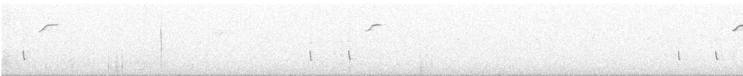 フタスジスズメモドキ - ML640492049