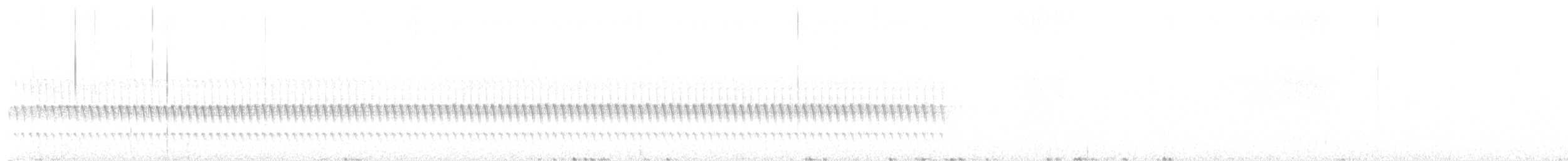 Trilling Tapaculo - ML640492496