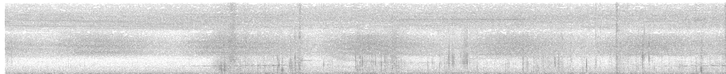 Thicket Antpitta - ML640494527