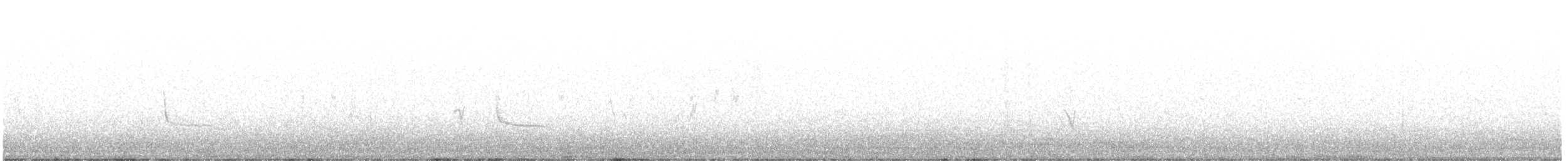 Say's Phoebe - ML640494792
