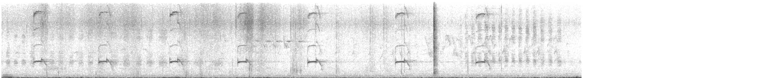Pied Cuckoo - ML640502030