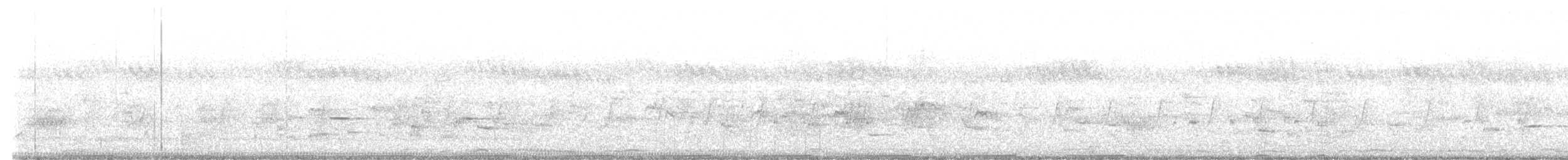 Barred Buttonquail - ML640502240
