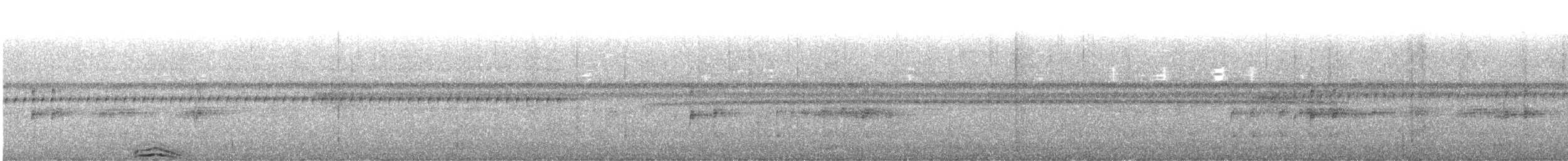 linjeugle - ML640502343