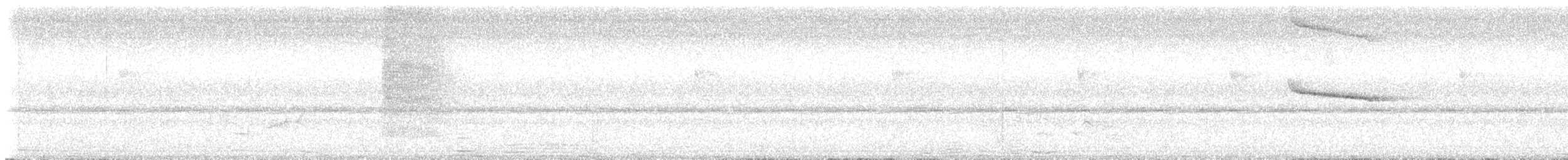 Malayan Whistling-Thrush - ML640502892