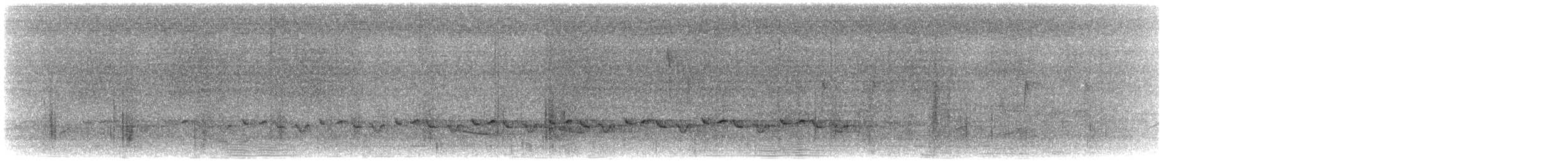 Gray Longbill - ML640504183