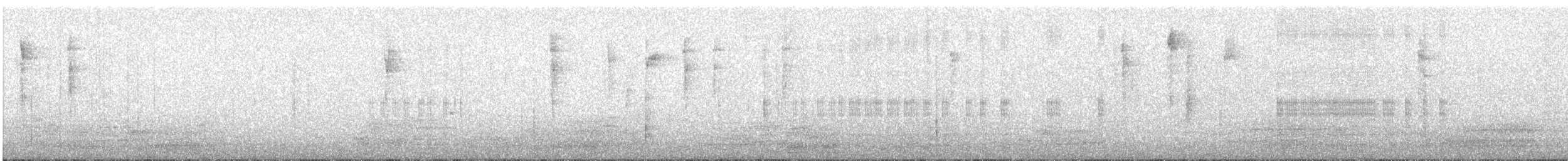 Striated Thornbill - ML640506510