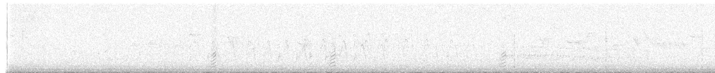 Alzavola (crecca) - ML640508310