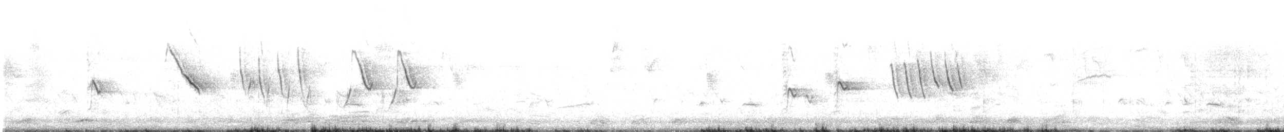 African Pied Wagtail - ML640509292