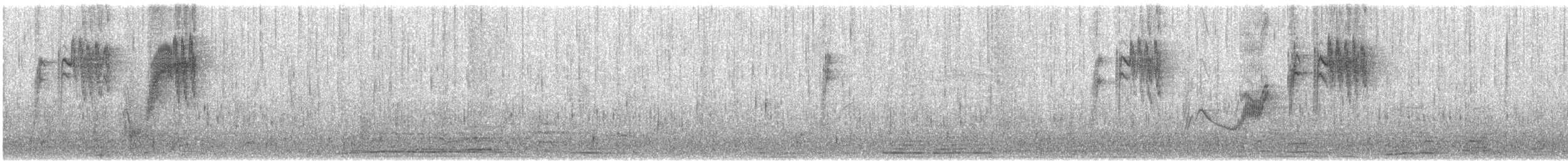 Fiscal Flycatcher - ML640509731
