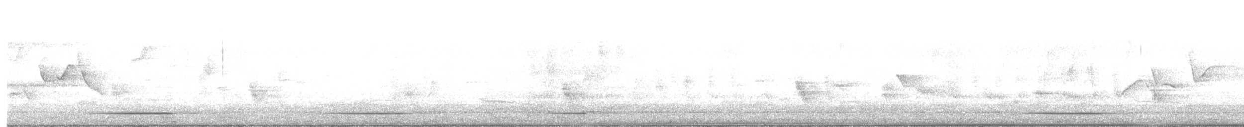 Gray-headed Bushshrike - ML640510031