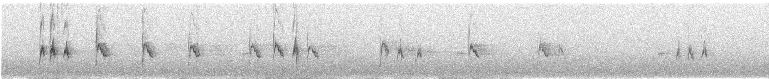 Nicholson's Pipit - ML640510512