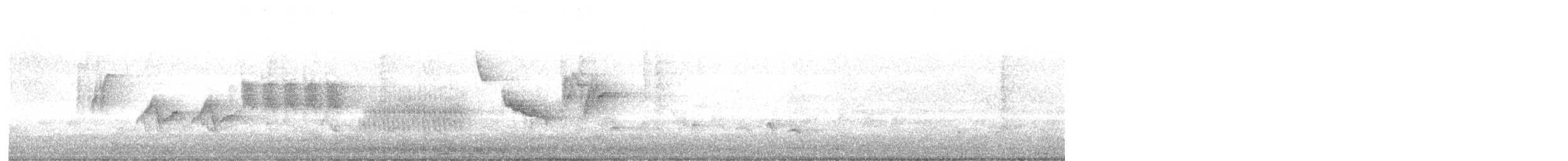 Streaky-headed Seedeater - ML640511071