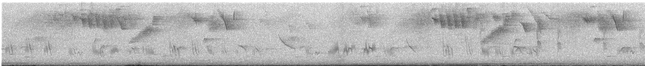 Caribbean Martin - ML640513997