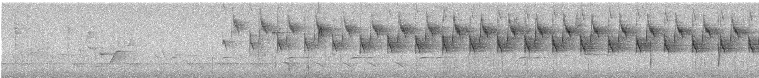 White-browed Scrubwren - ML640514659