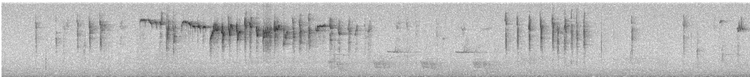 Striated Thornbill - ML640514711