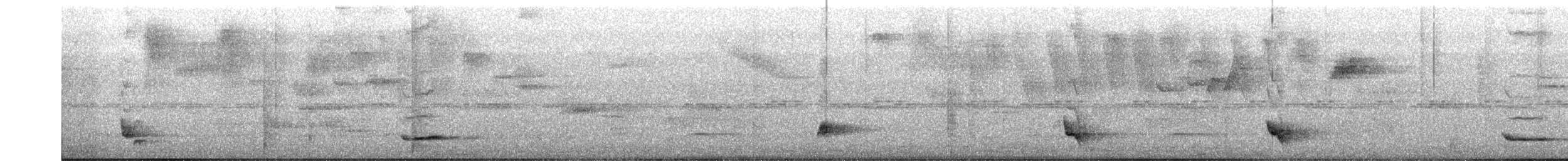 Black-striped Sparrow - ML640514776